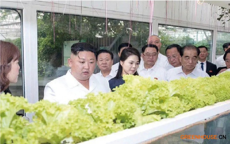 4.朝鮮最高領(lǐng)導(dǎo)人、朝鮮勞動(dòng)黨總書(shū)記金正恩到訪創(chuàng)新園