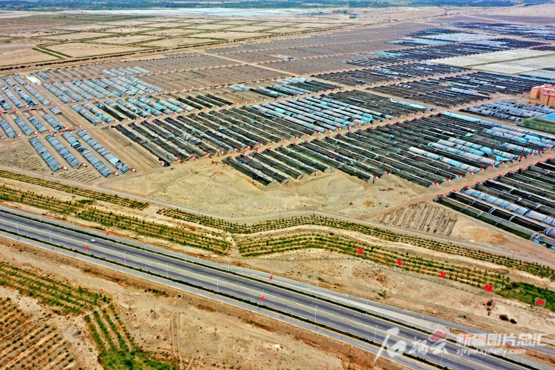 莎車(chē)縣戈壁產(chǎn)業(yè)園里，3000座溫室大棚成為荒灘上最具活力的地方。天山網(wǎng)-新疆日?qǐng)?bào)記者 蔡增樂(lè) 攝